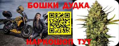 ECSTASY Кингисепп